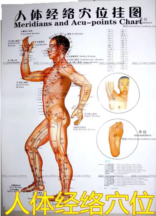 Medical Meridian acupuncture wall charts human body meridian points diagrams hand-foot wall charts Scrapping flipchart 6pcs/set