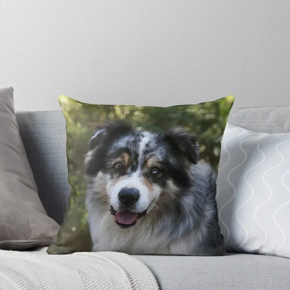 

Australian Sheppard Throw Pillow Cushions For Children Cushions For Decorative Sofa christmas supplies pillow