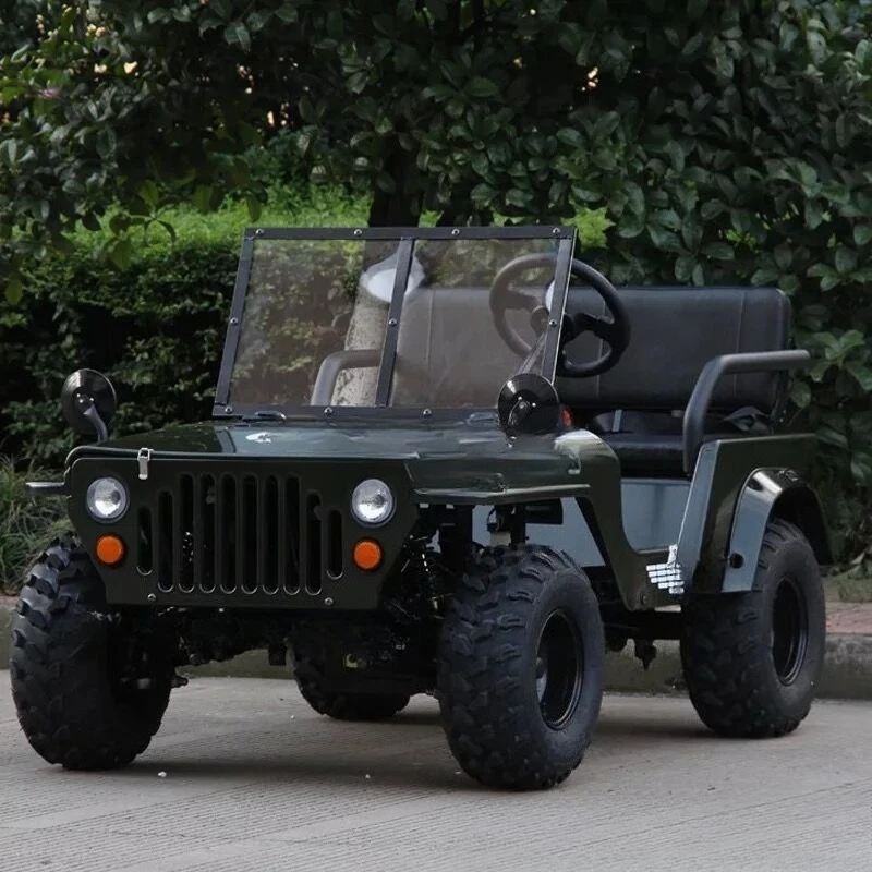 مدرب لمشاهدة معالم المدينة الكهربائية للبالغين، دراجة نارية ذات أربع عجلات على الطرق الوعرة، سباق سيارات المزارع ATV