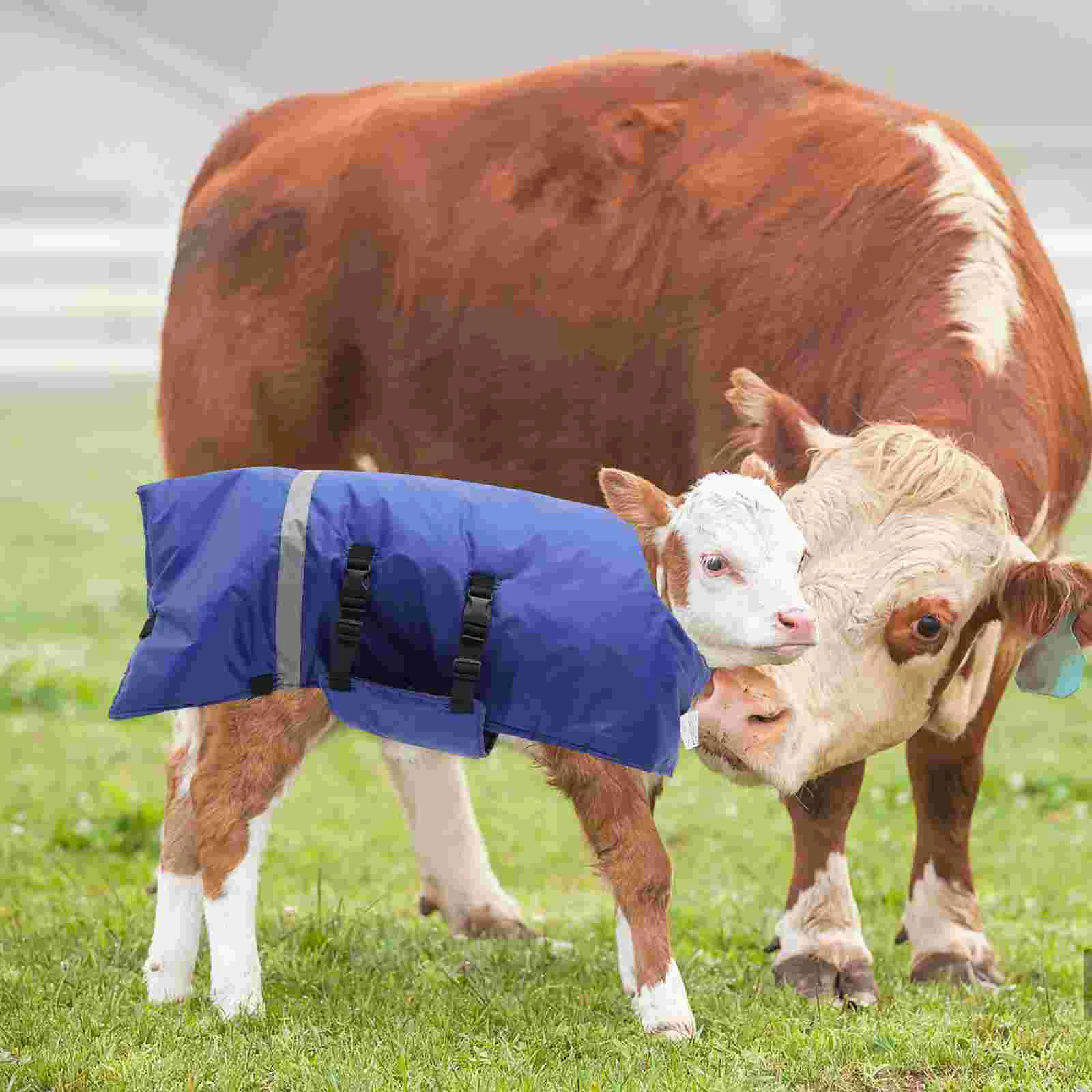 Farm Calf Vest Warm Clothing Winter Coat Warm Apparel Pasture Cold Proof Clothing Calf Dog Wrap Thermal Insulation Coat Vest