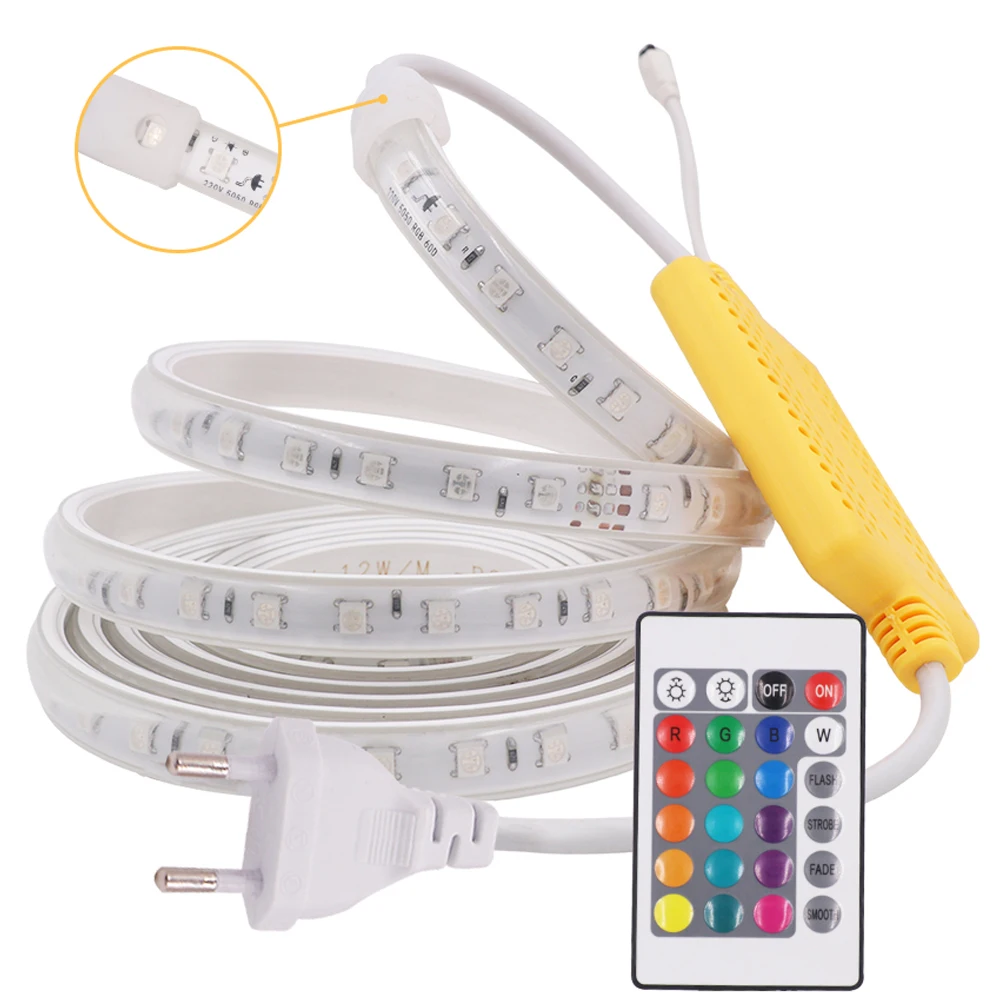 220V listwy RGB LED światła z pilotem na podczerwień 5050 elastyczna taśma LED 60 diod LED IP67 wodoodporny zewnętrzny LED taśmy wstęga LED 1-15m