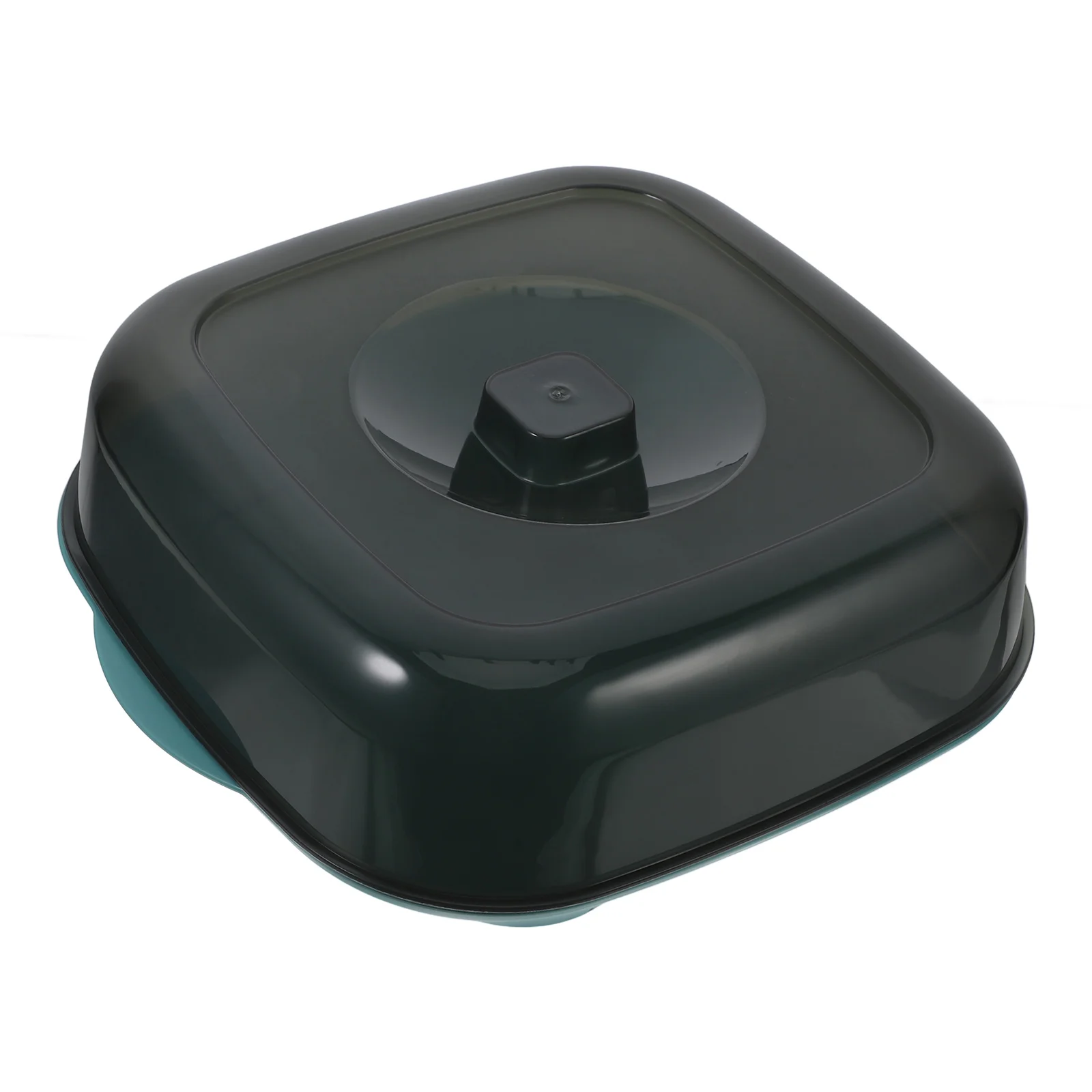 

Vegetable Cover Storage Box Kitchen Rack Large Veggie Tray with Lid Food Containers Lids Dessert Plastic Clear Pan Pans