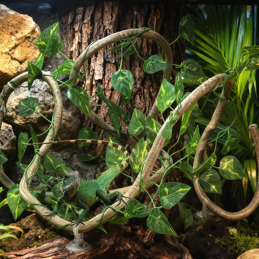 Thumbnail 2 - #3 Pet Habitat Decors List of Top Picks