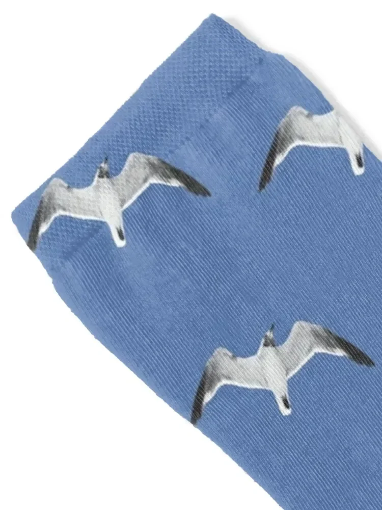 Flying seagull Socks funny sock shoes Crossfit Mens Socks Women's