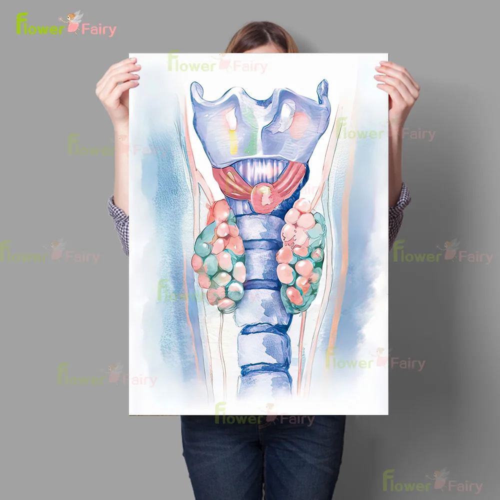 Medical Brain Thyroid Anatomy Nervous System Poster Wall Art Canvas Painting Home Decor Wall Pictures For Living Room Unframed
