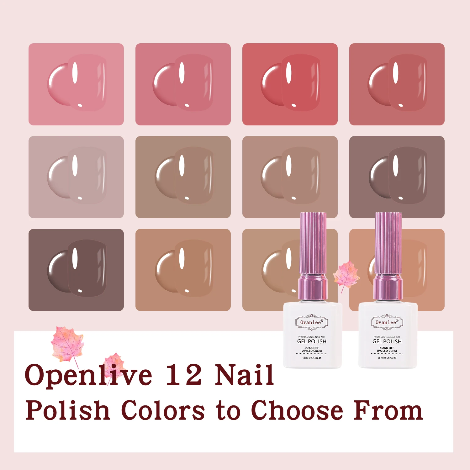 Ovanlee 12-Piece Nail Art Gel  - đánh giá và giá Nail Art Elegant