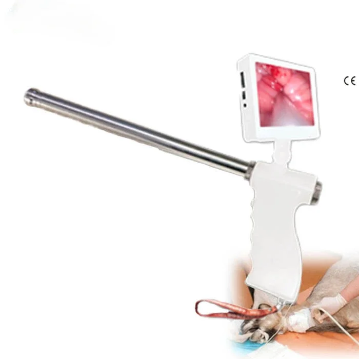 Visual Artificial Insemination Gun For Cattle With Free Insemination Catheter