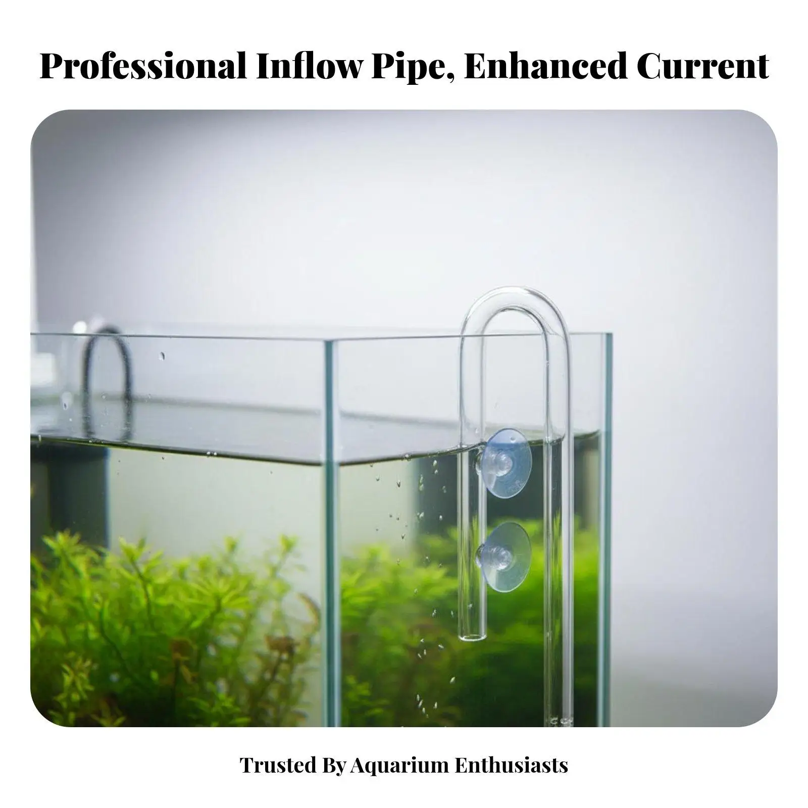 Sleek Aquatic Inflow Crystal Glass Lily Pipe Strainer Aquarium Water Inlet for Nano and Large Aquariums - view 3