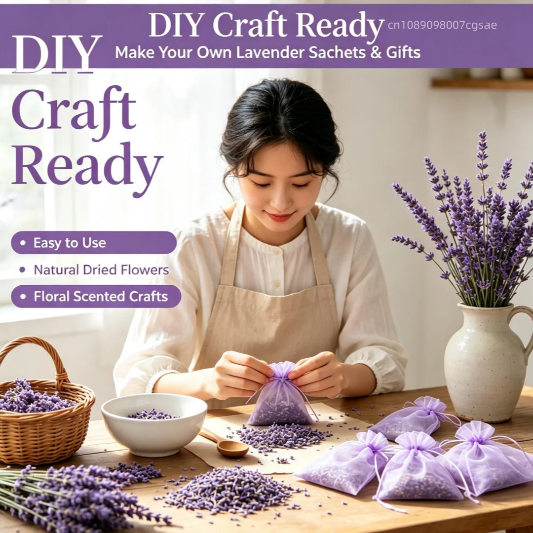Natürliche getrocknete Lavende – Potpourri Dried Flower Bewertung und Preis