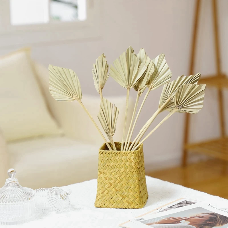 Boho Dried Palm Spears Small Natural Dried Palm Fans Leaves Decor