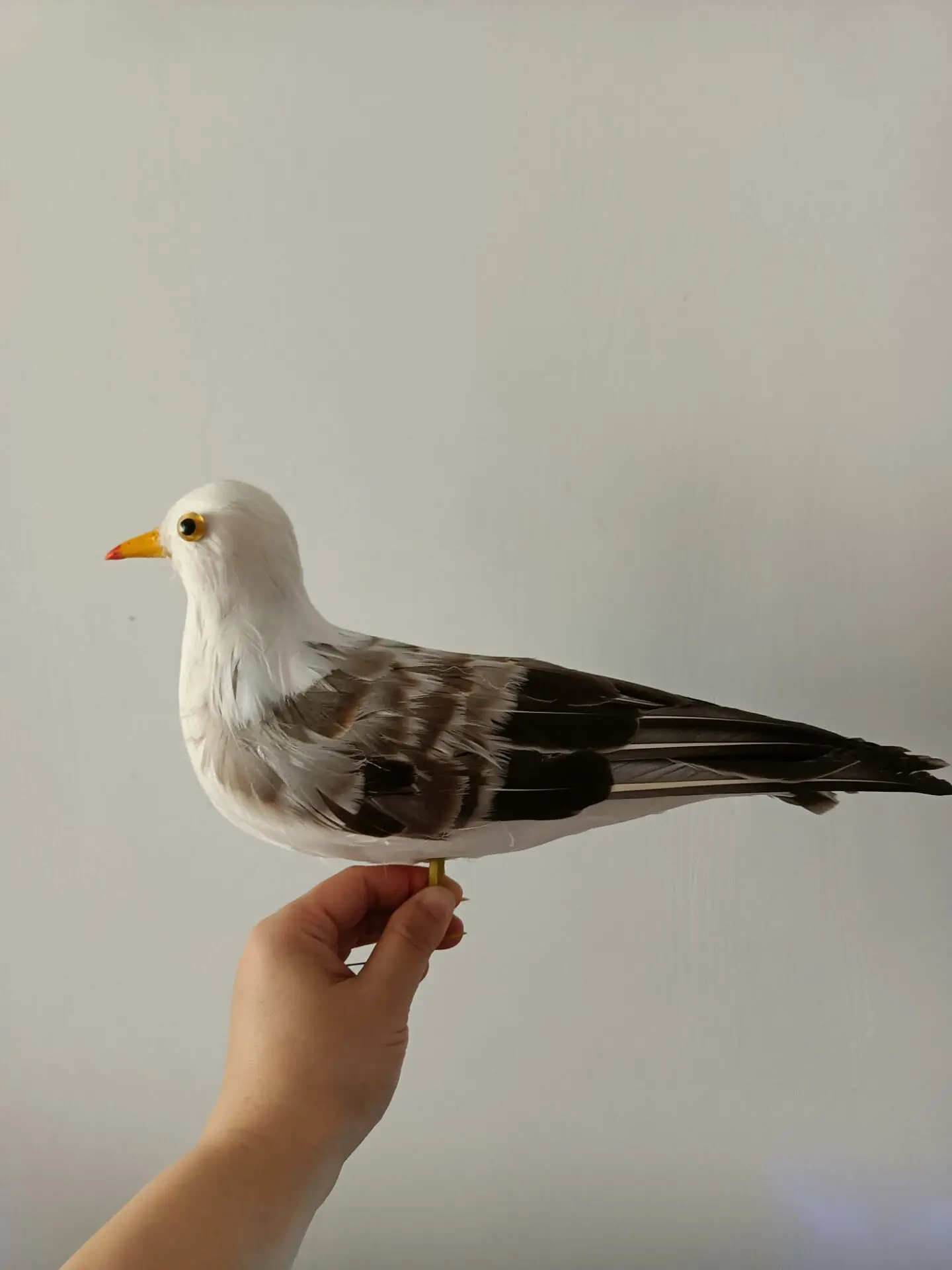 new simulation foam and feather seagull model gift about 30cm a0014