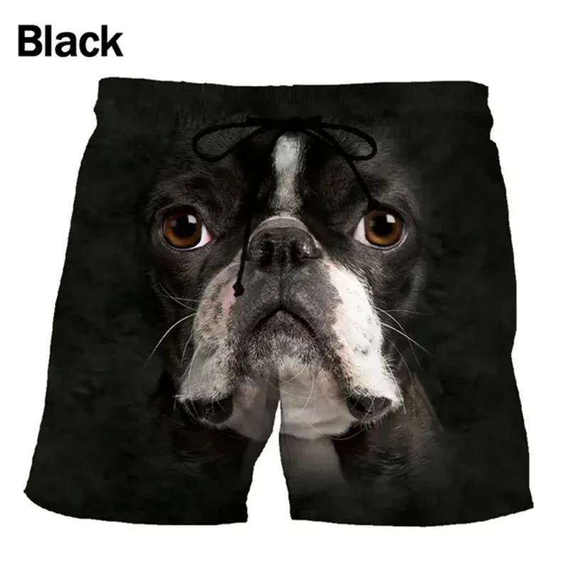 New Funny Animal Graphic Beach Shorts Visual Amplification For Men 3D Printed Surf Board Shorts Beachwear Casual Quick Dry Trunk