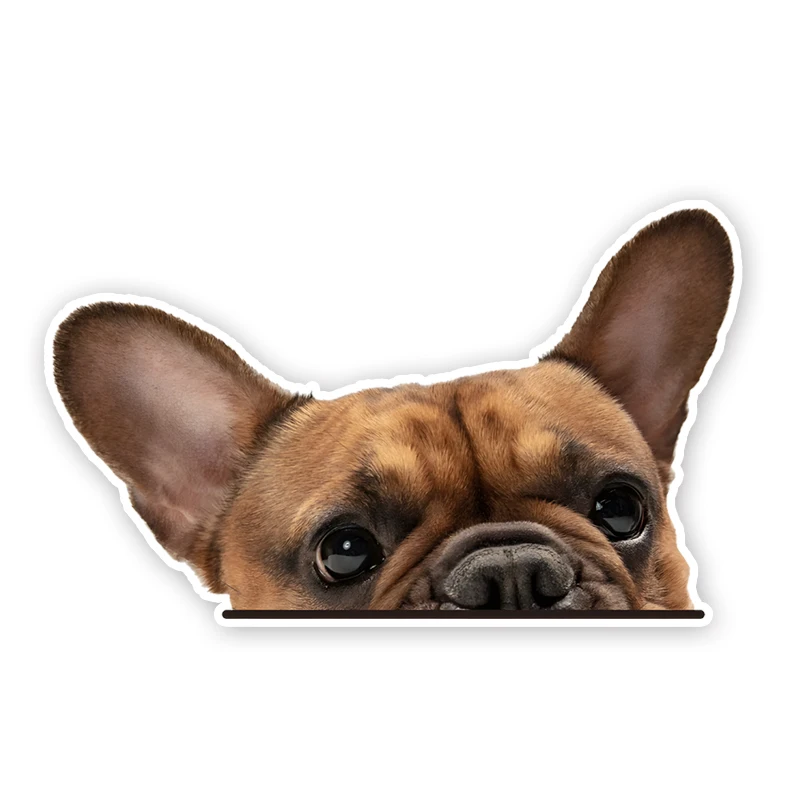 

DK321# French Bulldog Cute Dog Car Decals Bumper Window Stickers Car Accessories Waterproof Vinyl Material