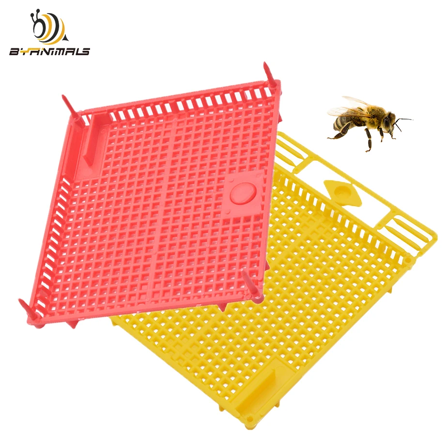 2PCS Large Space Press In Comb Trap Intruduction New Queen To Colony Catcher Isolation Plastic Beekeeping Imker Tools Supplies