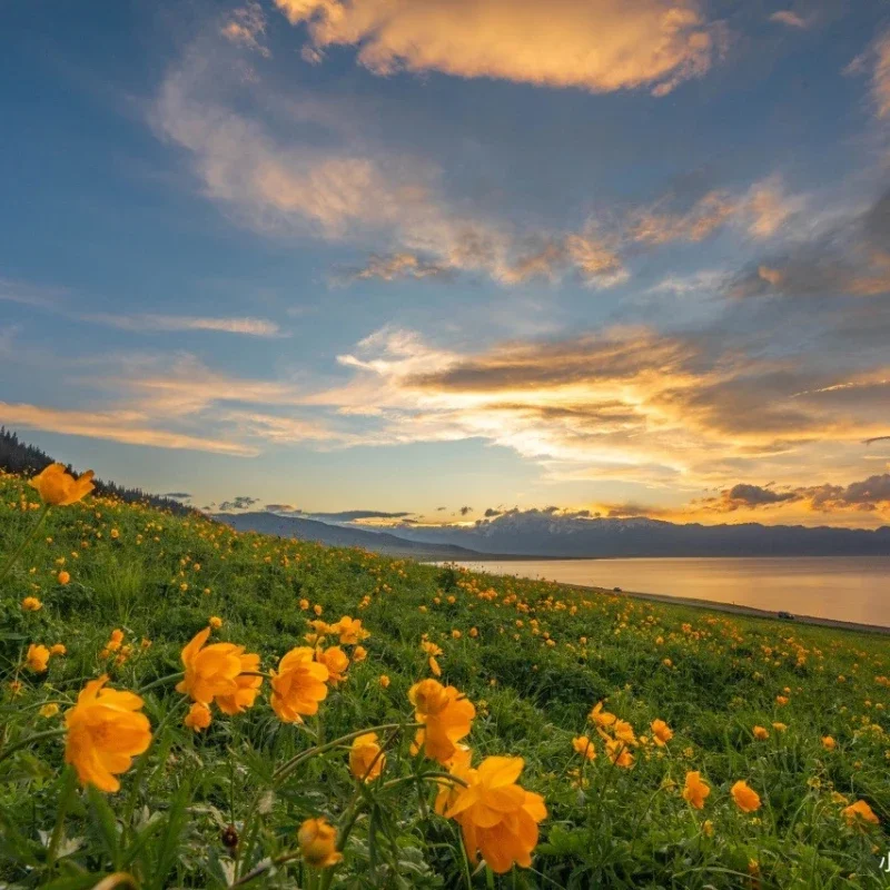 

The price difference link for the keychain.