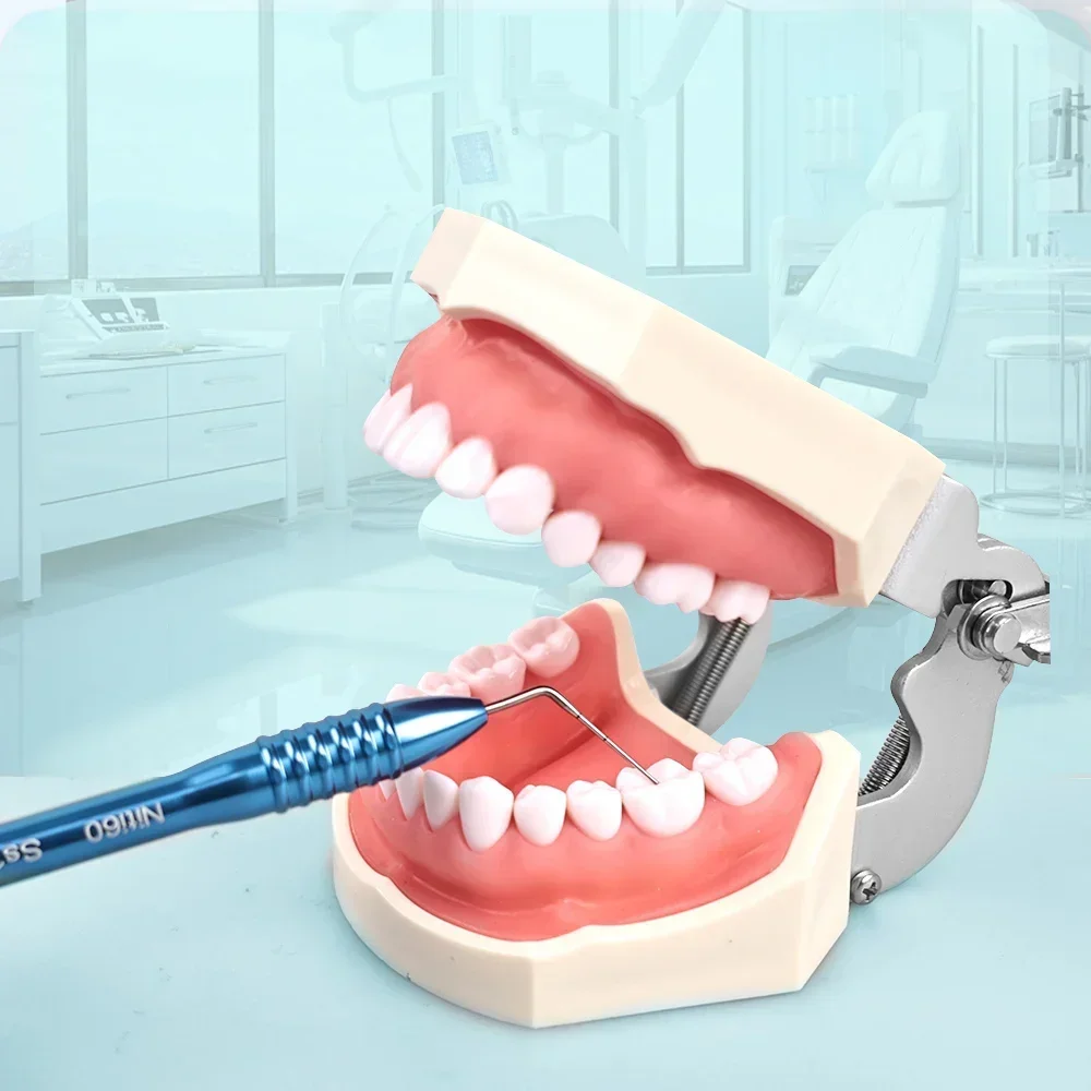 Dental Root Canal Filler Endodontic Hand Plugger Niti Oral Gutta Percha Filler Vertical Pressure Instrument Dentistry Tools