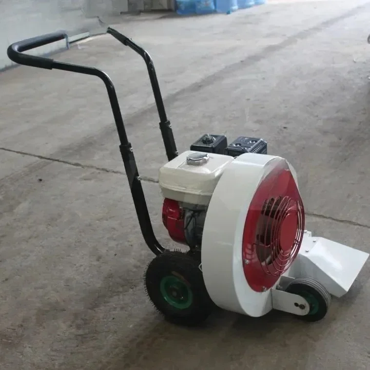 Powered Leaf Blower gaoline Backpack Snow Blower for Garden Road Cleaning