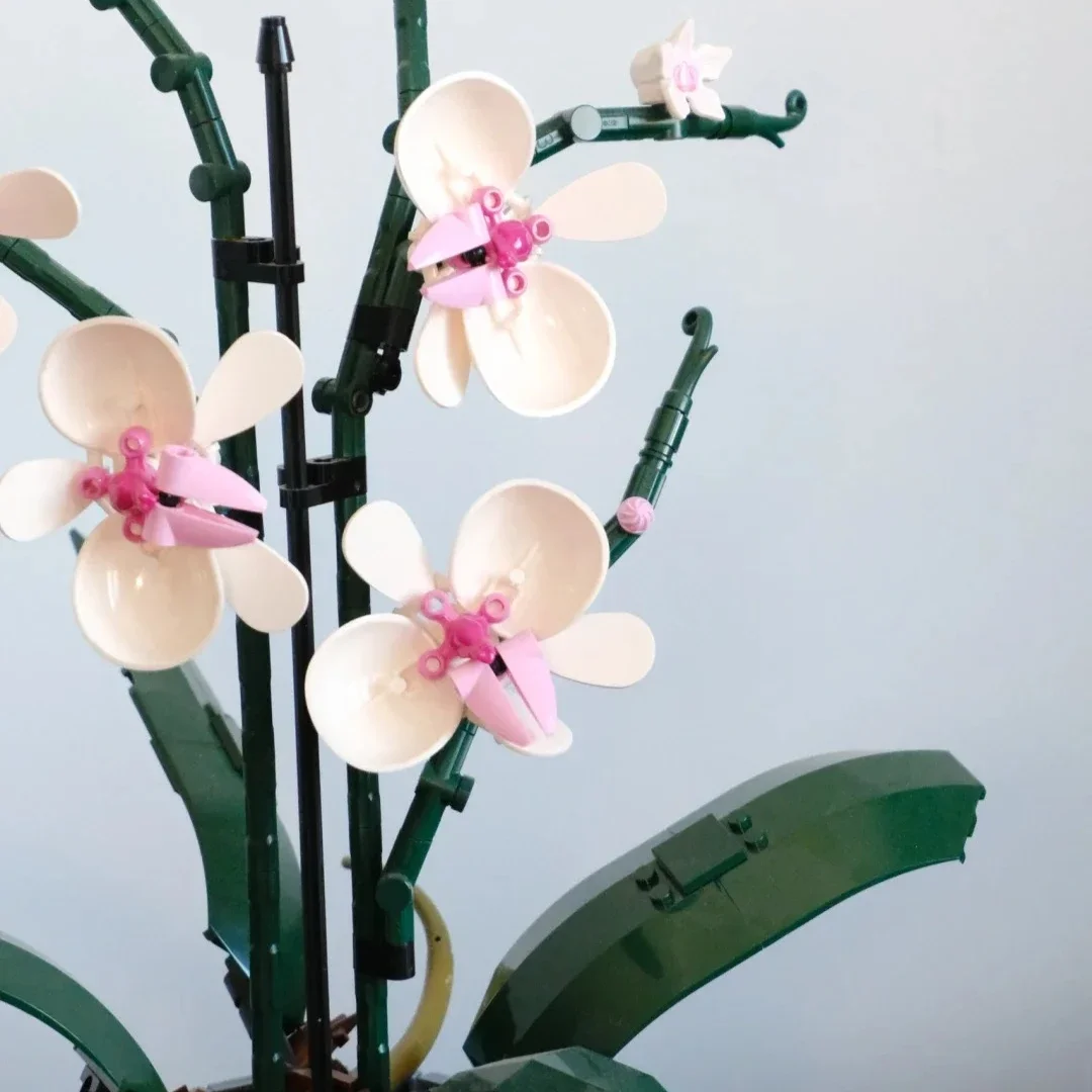 Icons Bouquet of Artificial Flower Orchid Potted Model Building Blocks Adult Plant Series Suitable for Halloween Christmas Gifts