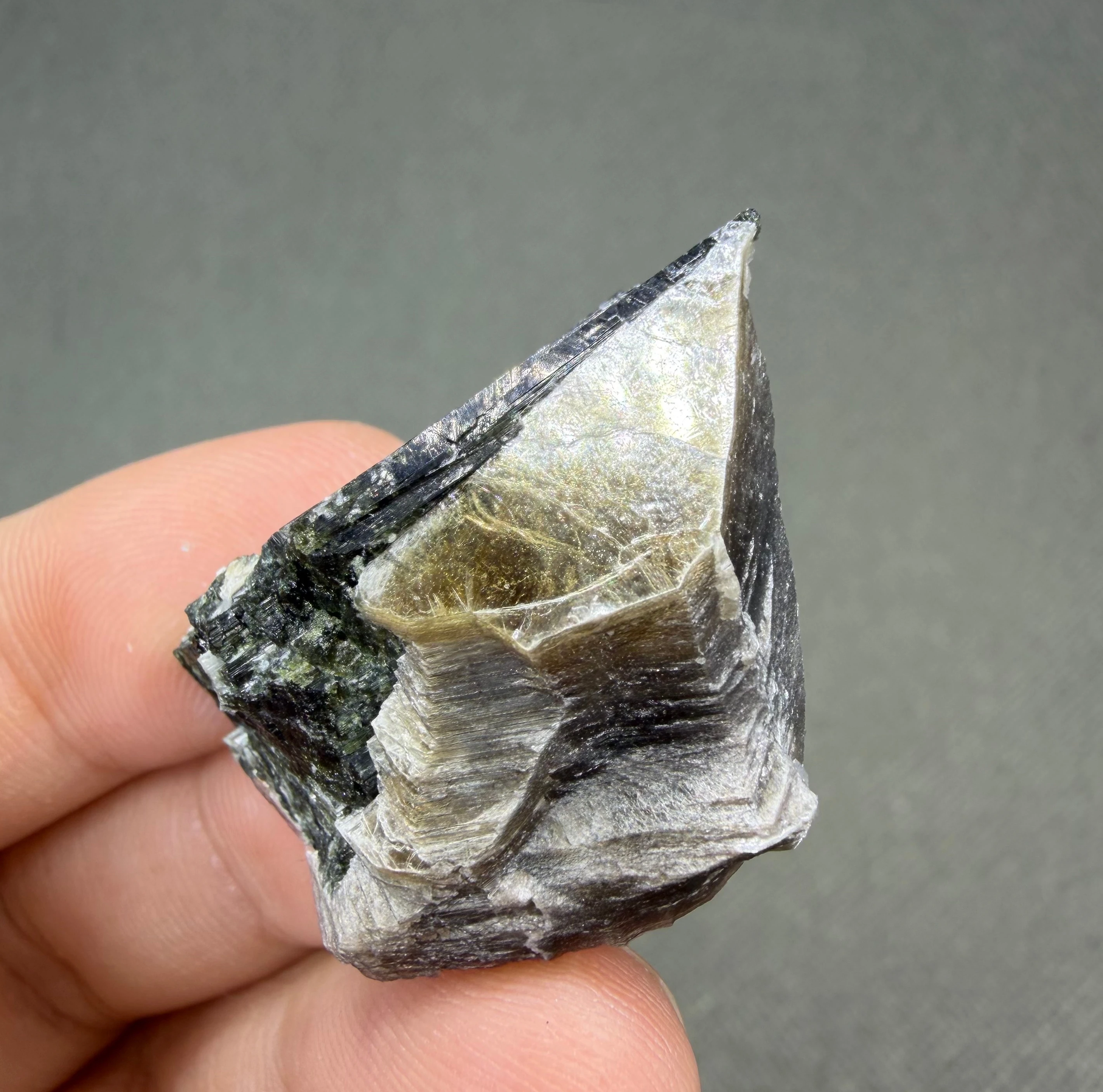 10 g Natural Golden Phlogopite Mica with Tourmaline Gold Flakes Specimen