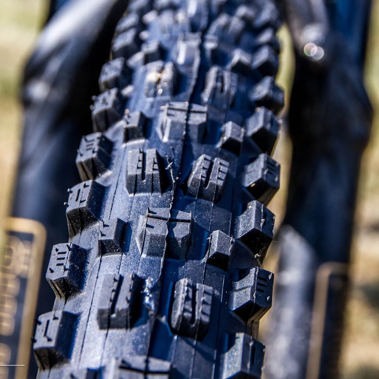 MAXXIS ASSEGAI ダウンヒルチューブレス MTB 自転車タイヤ 29 27.5 