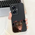 case-c21