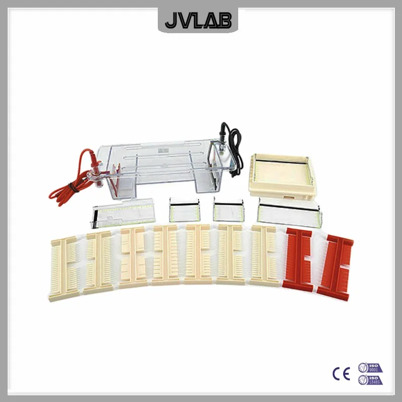 

Nucliec Acid Horizonetal Electrophoresis Cell Agarose Electrophoresis Tank DYCP-31DN For DNA Identification Separation Preparate