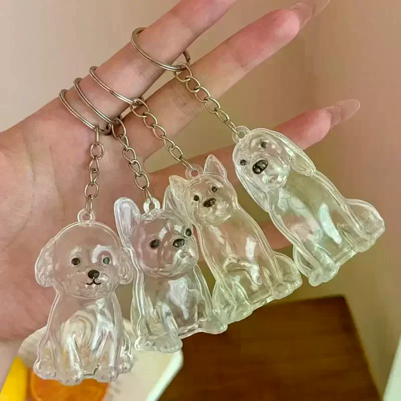 Cute Dog Hair Storage Keychain Transparent Pet Fur Keepsake Capsule Bag Pendant Decor Souvenir Collection Gift Memorial Jewelry