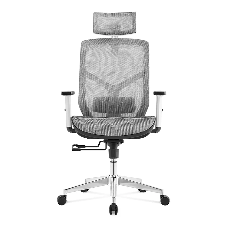 Adjustable Lumbar Support Ergonomic Mesh Office Chair With Headrest And Cloth Hanger