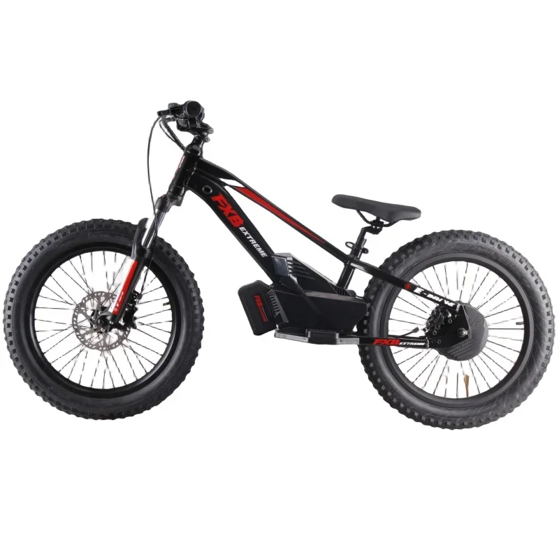 FXB mini motocicleta 20 pulgadas bicicleta para niños con batería de litio bicicleta eléctrica de cross 36V bicicleta de equilibrio eléctrico ebike 12 pulgadas 16 pulgadas