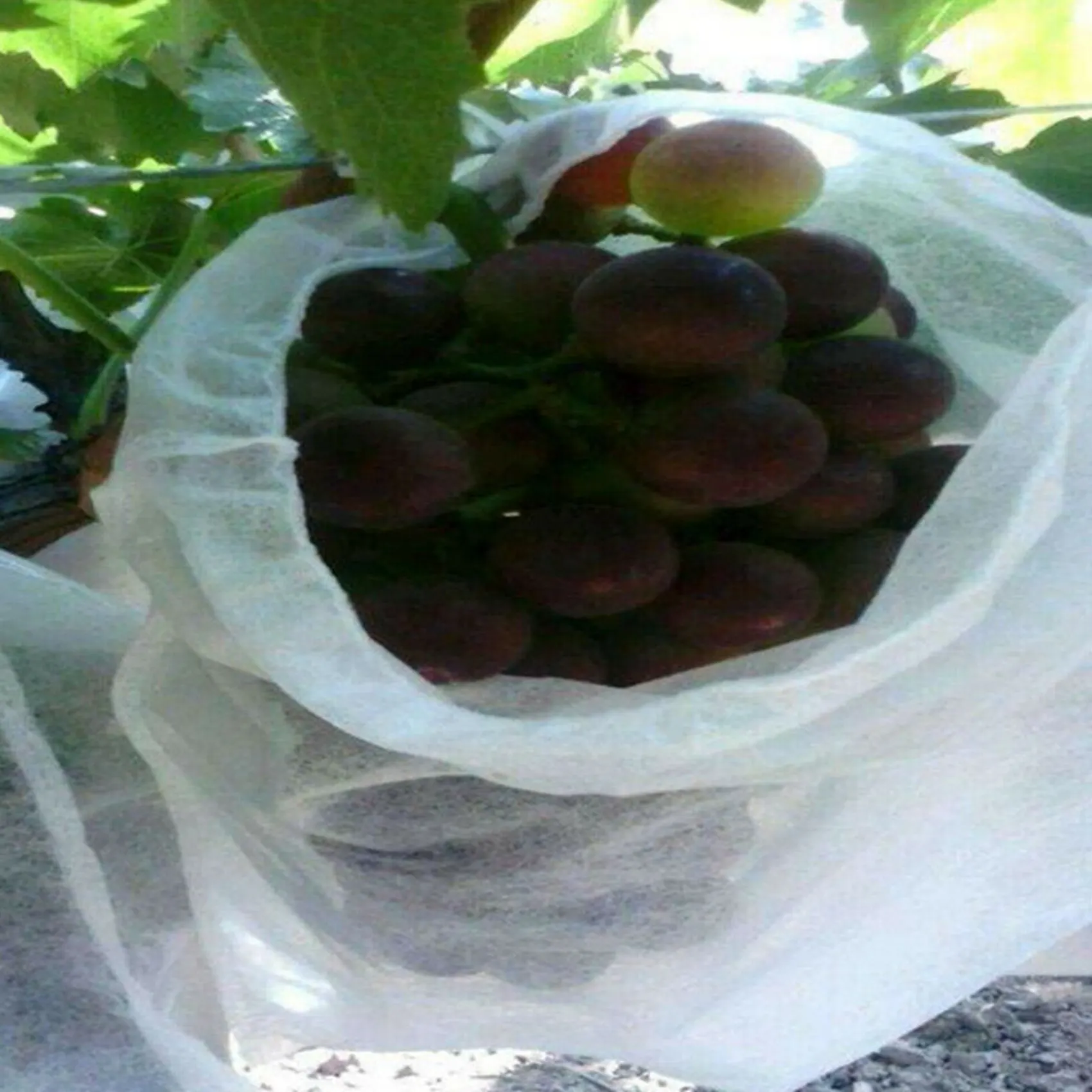 

YWDZ-300PCS Garden Plant Fruit Cover Protect Net Mesh Bag Against Insect Bird Pest
