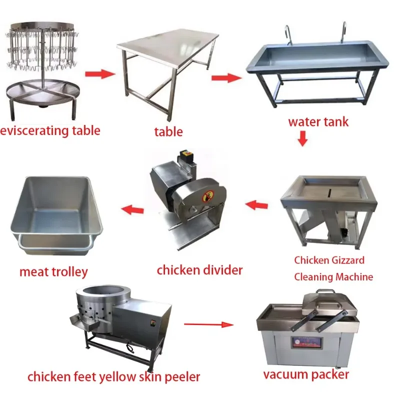 Slaughter and Chicken Production Line, Capable of Processing 100-200 Chickens Per Hour Essential for Factories, Easy to Operate