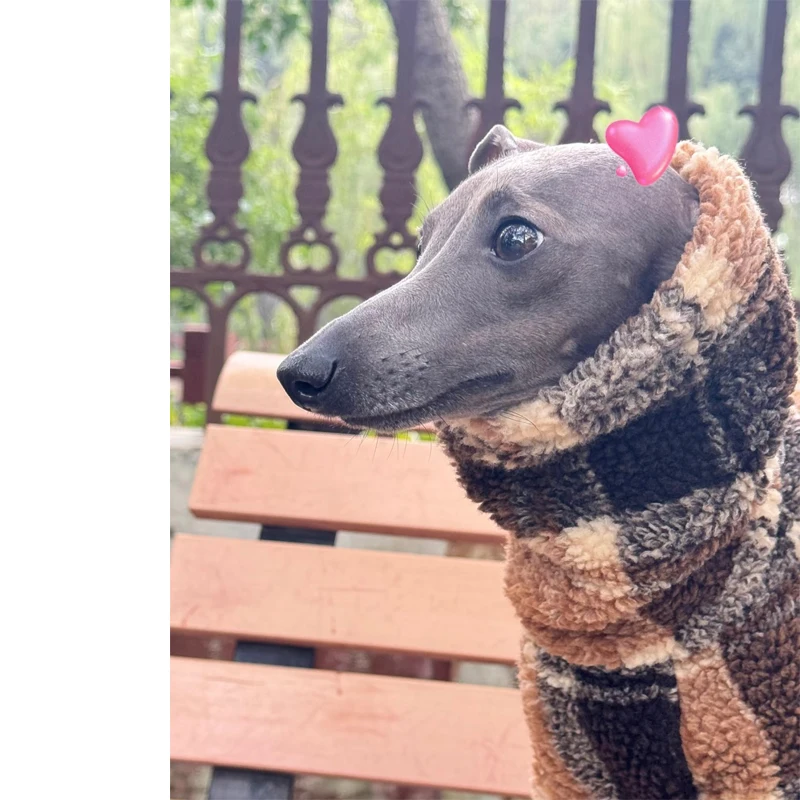 Doppelseitige Samt Whippet Berlington Terrier Hundekleidung Rollkragen-Hundemantel Winddichte Kleidung Warme Jacke für Italien-Windhund – Detail 2