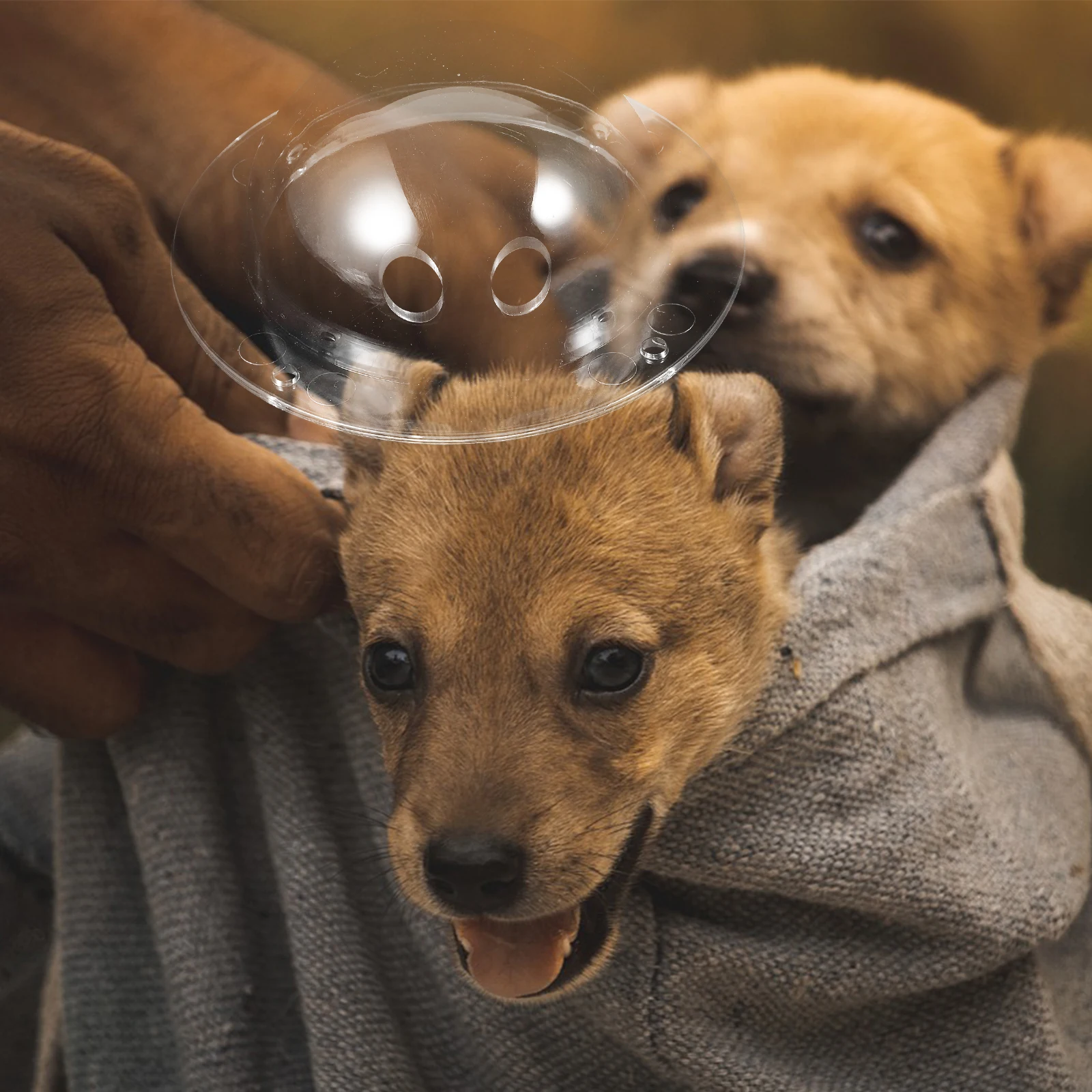 

Pet Bag Accessories 10cm Clear Dome Cat Dog Carrier Replacement Acrylic Transparent Sturdy Durable Easy Clean Outdoor Equipment