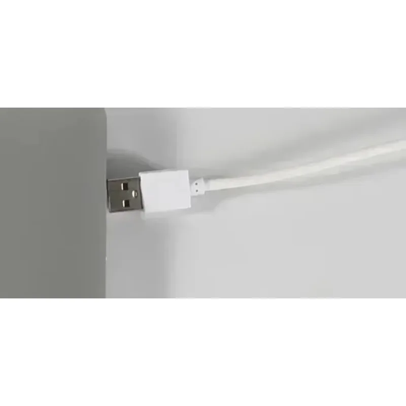 

NEW Nasopharyngoscope China BESDATA Portable Low Price Flexible Endoscopy 3.5mm HD Rhinolaryngoscope for Examination Diagnose