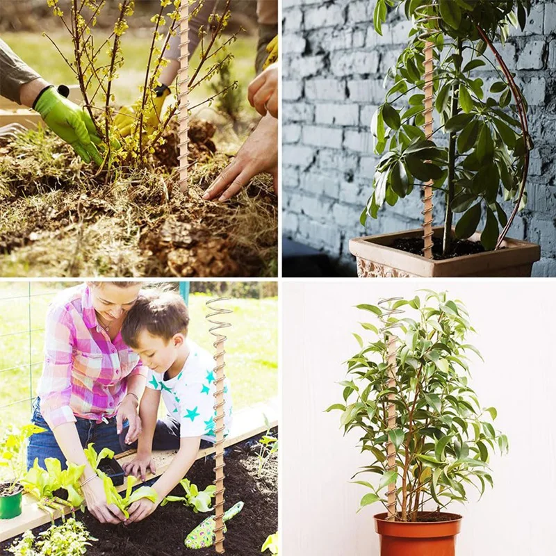 전기 구리 문화 식물 말뚝 구리 정원 말뚝, 원예 안테나 구리 막대 구리선, 핫 세일