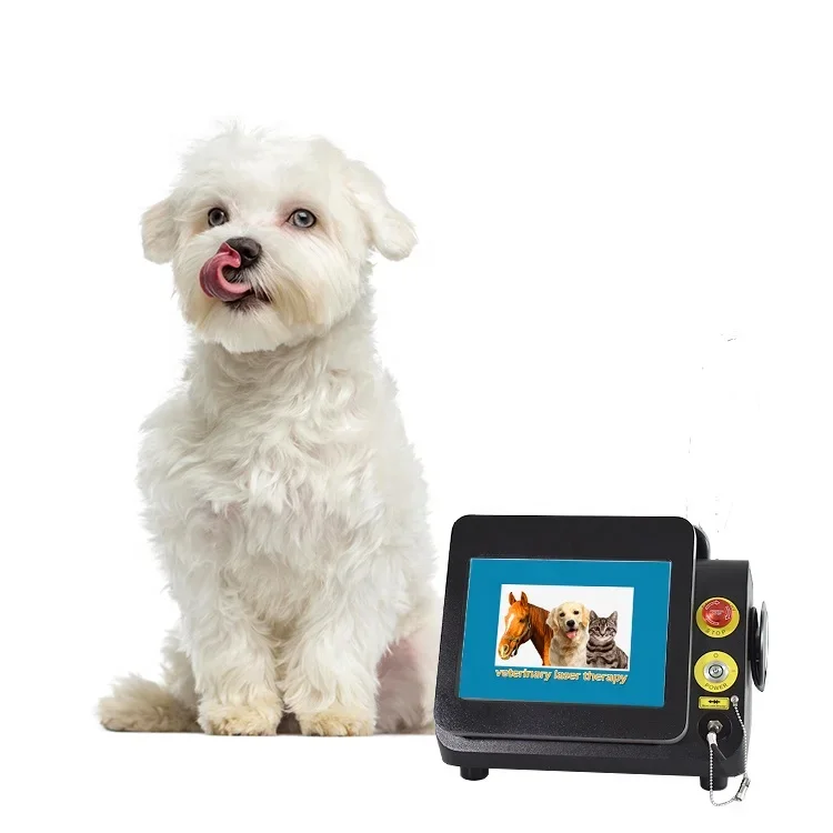 Class IV Wavelength Can Be Designed 810/980/1064nm Veterinary Therapy Equipment Clinic Use For Pets And Larger Animals