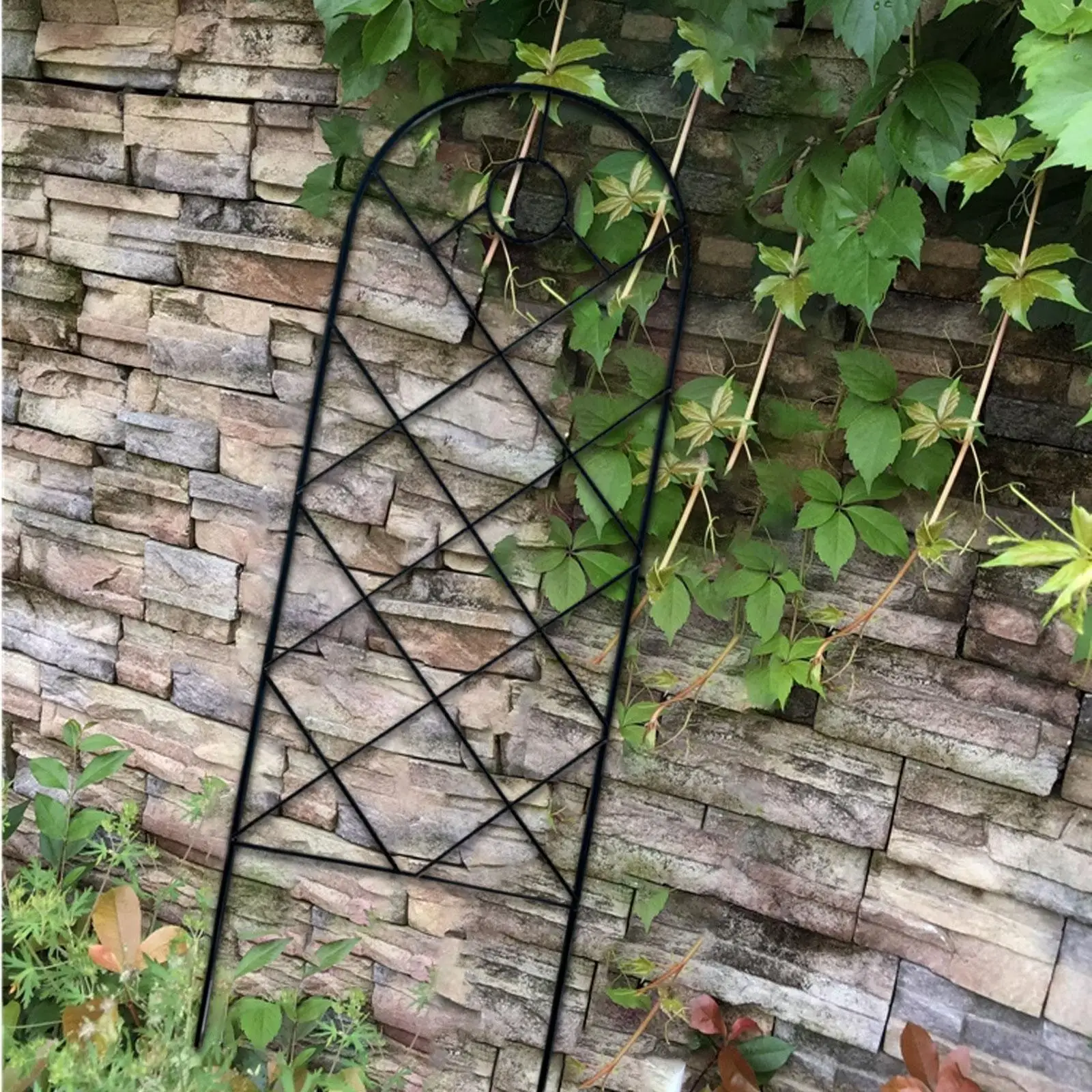 

Metal Garden Trellis Climbing Flower Support Decorative Practical Garden Vine