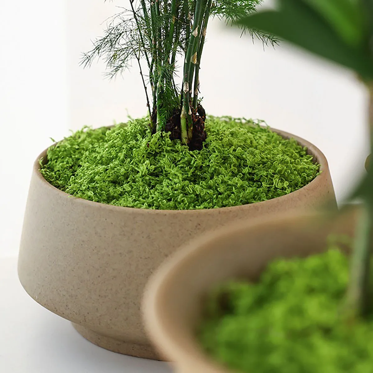 About 20g Artificial Green Plants Polyester Moss Grass Home Living Room Garden Decoration Mini Landscape Fake Flower DIY Crafts
