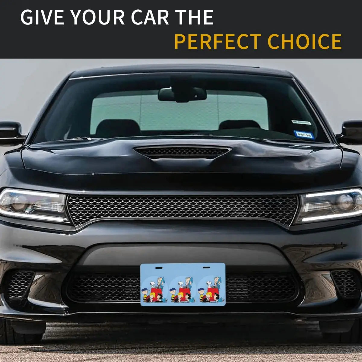 مخصص لطيف S-Snoopys الكرتون لوحة ترخيص بارد الزخرفية سيارة الجبهة لوحة ترخيص الألومنيوم معدن تسجيل الغرور العلامة 6X12 بوصة