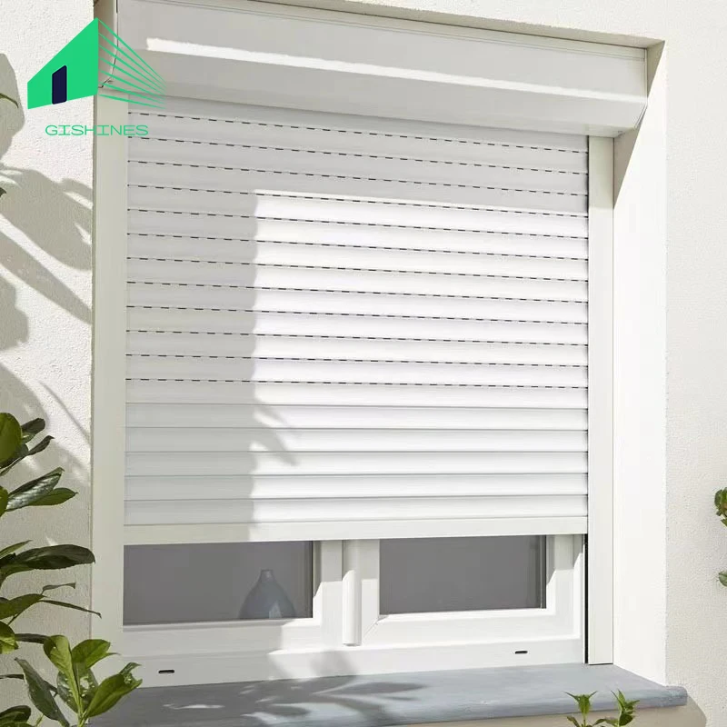 European Standard Roller Shutter Windows Insulating Manual Door Roller Aluminium Doors With Privacy Glass For Transparency