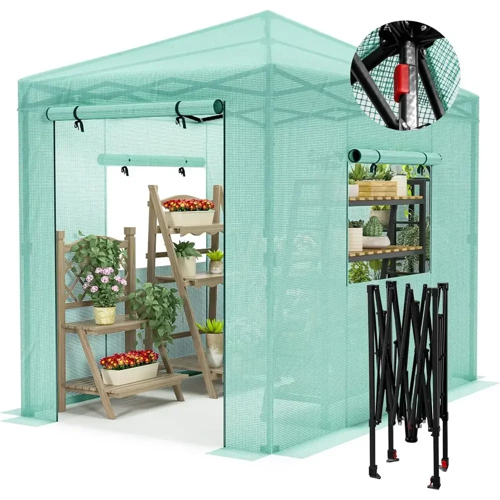 Portable Greenhouse with Zippered Door and Roll-up Windows, Easy Assembly, 8x6 Feet
