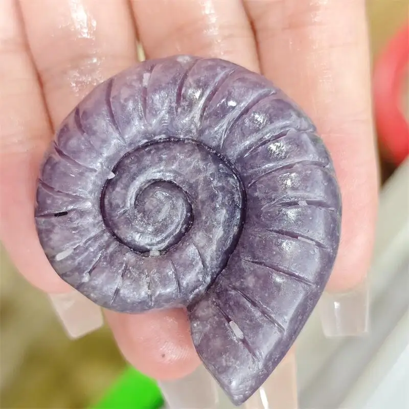 Natural Purple Mica Labradorite Conch Carving Reiki Healing Fengshui Stone DIY Holiday Crafts Gifts 1PCS