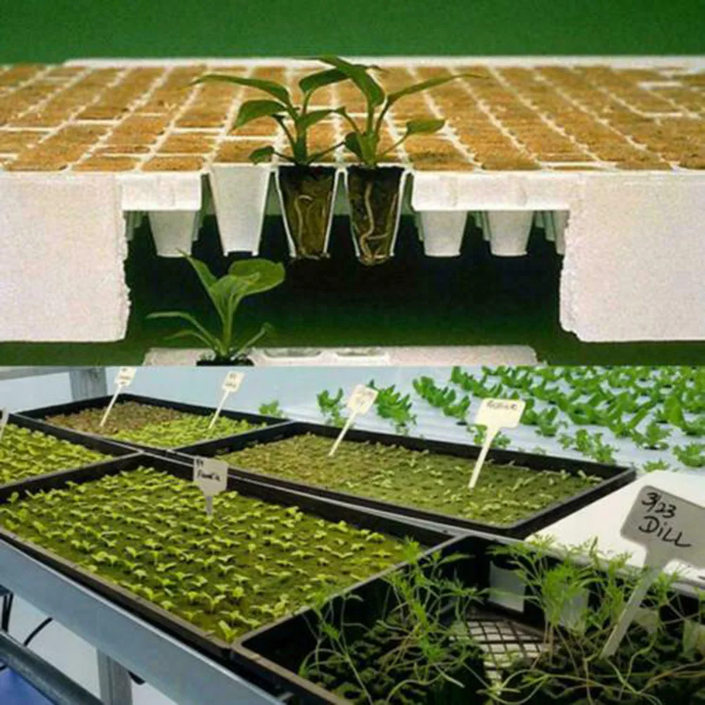 50/100Pcs Plant Starter Grow Starter Cubes Plug per Garden Greenhouse frutteto Sun Room idroponica Grow Media pianta di clonazione