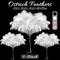 100-400Pcs White Black Ostrich Feathers Bulk Natural Plumes for Wedding Party Decoration Table Centerpiece Decorative DIY Crafts