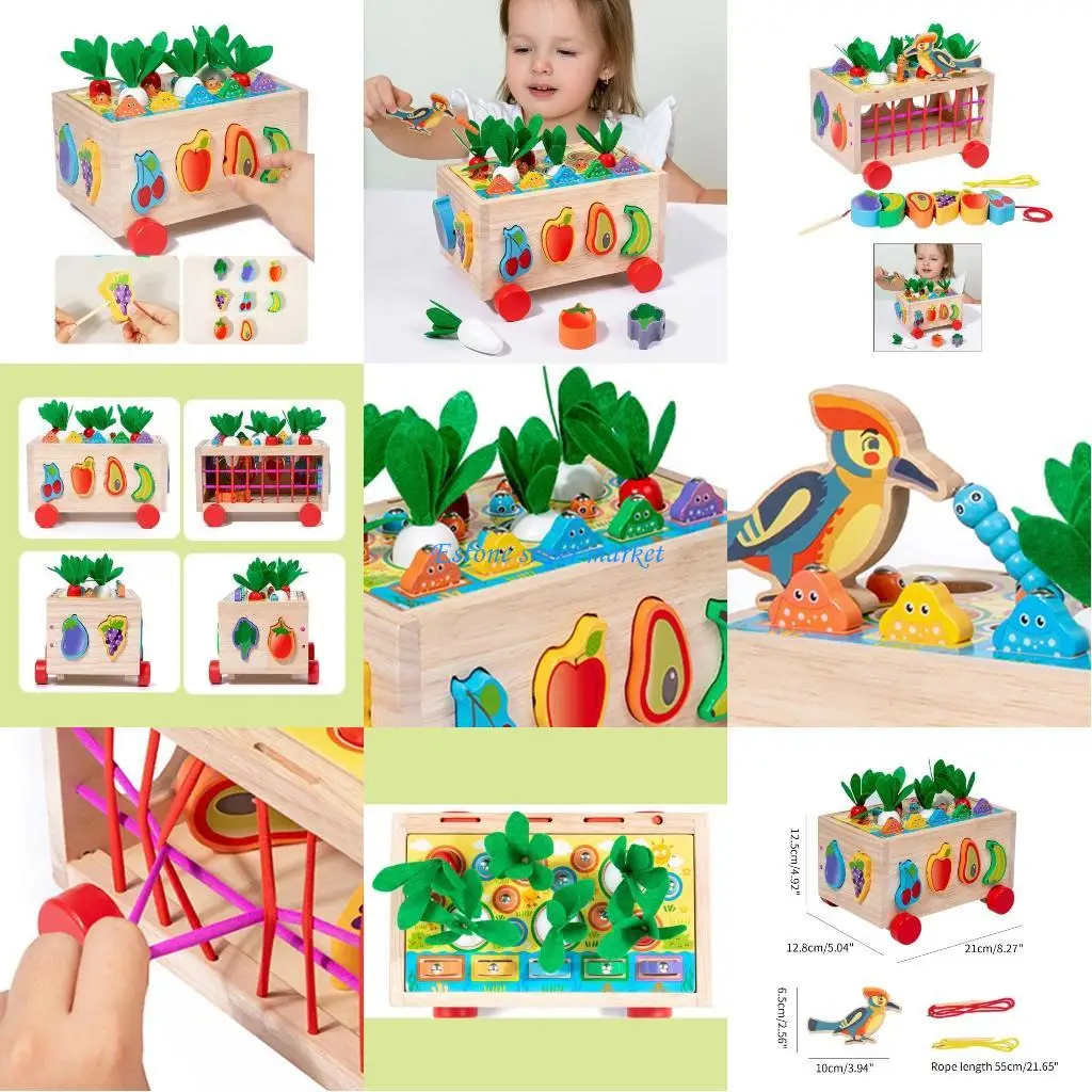 

090B Wooden Sorting Toddler Learning Puzzle Toy for Kids 2-7 Years Old