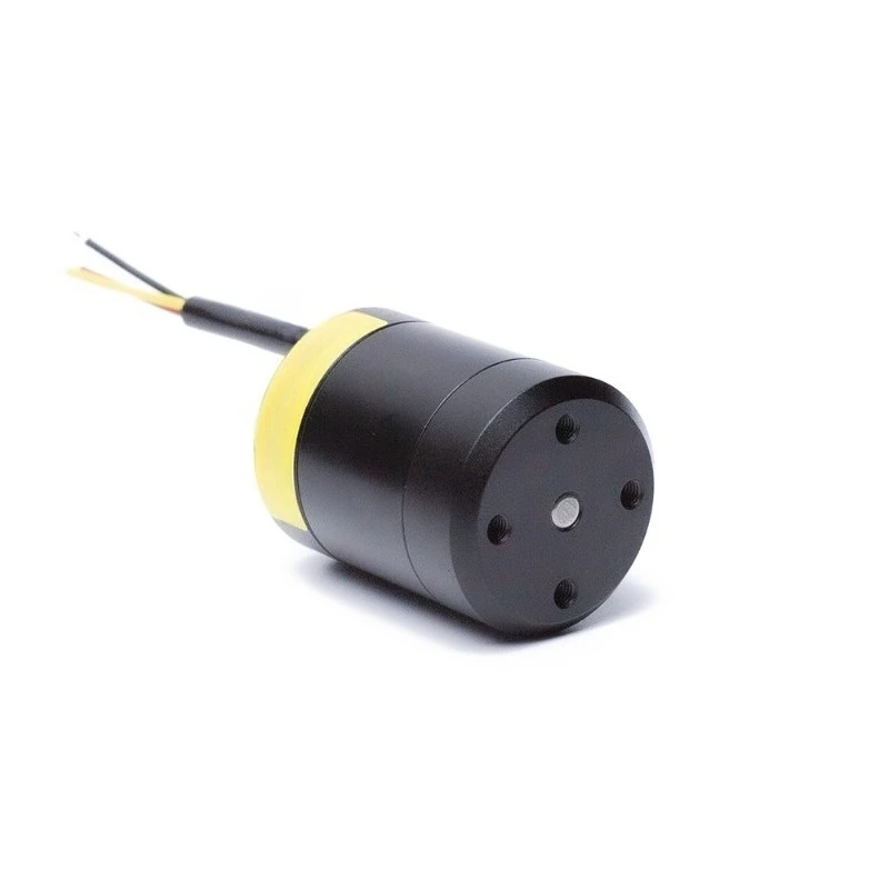 For Underwater Motor 2828 12-24V 80-150W Brushless Waterproof Motor for Thrusters