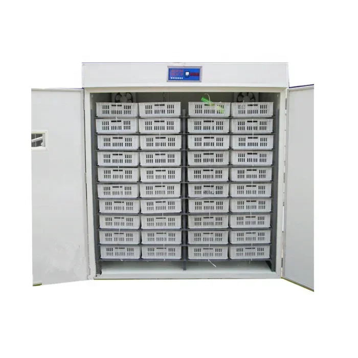 Cheap Price Large Size 4224 Eggs Incubator Eggs With Good Quality