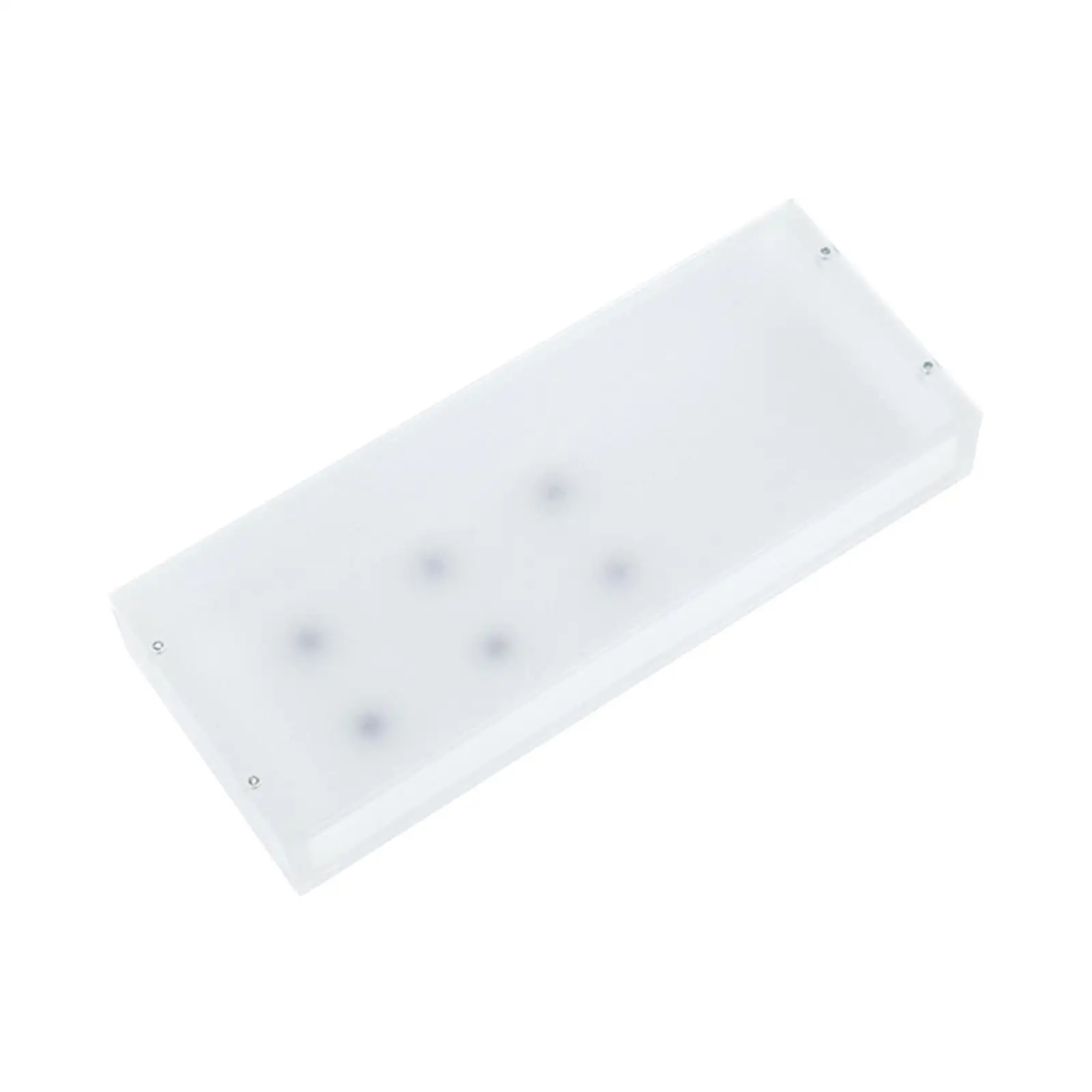 Tweezers Holder Space Saving Convenient Collecting Arranging, Tabletop False Eyelash Tweezers Holder Display Case Organizer