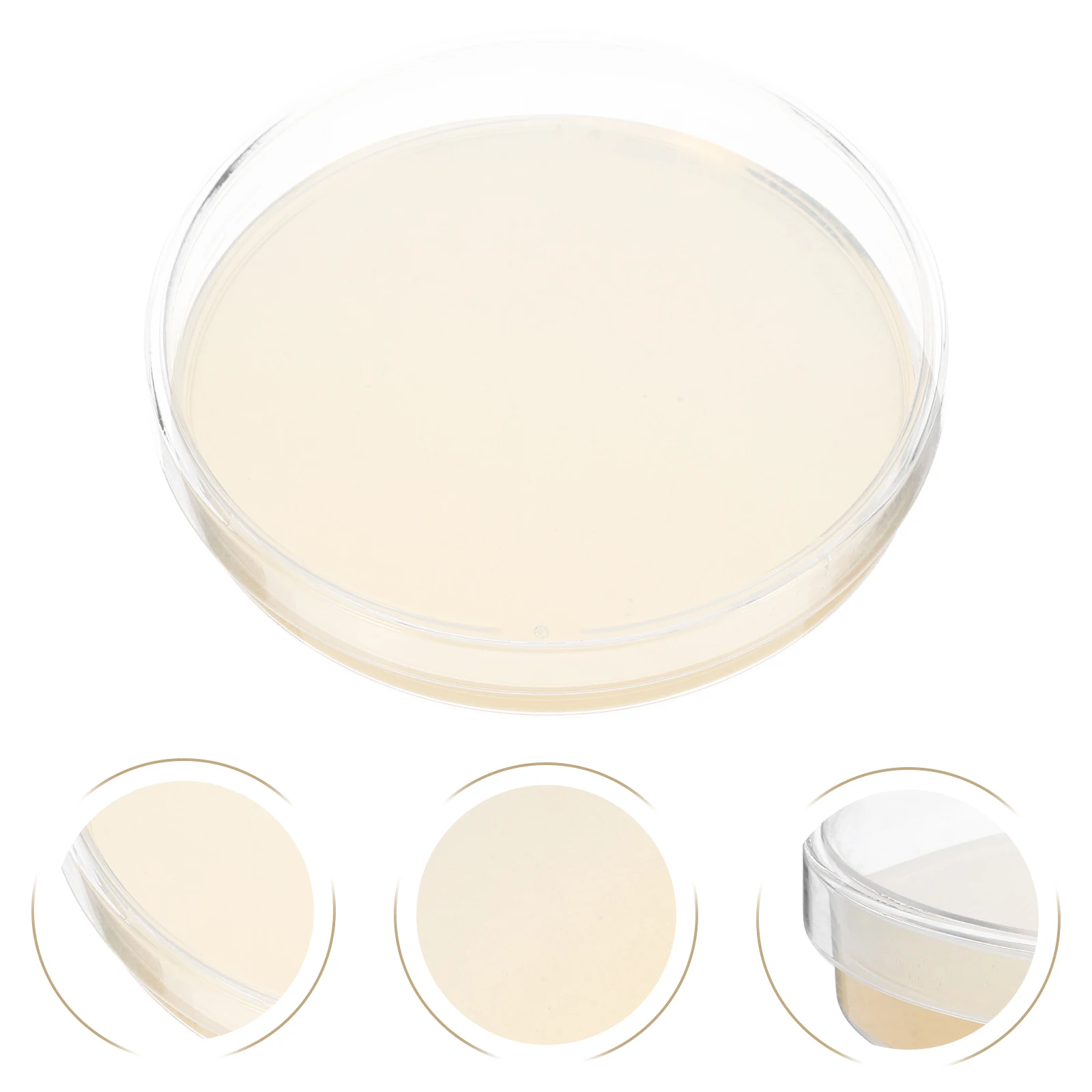 

10pcs Plates Disposable Agar Medium Nutrient Agar Biological Determine Equipment Vacuum Packaging Science Fair Projects Long