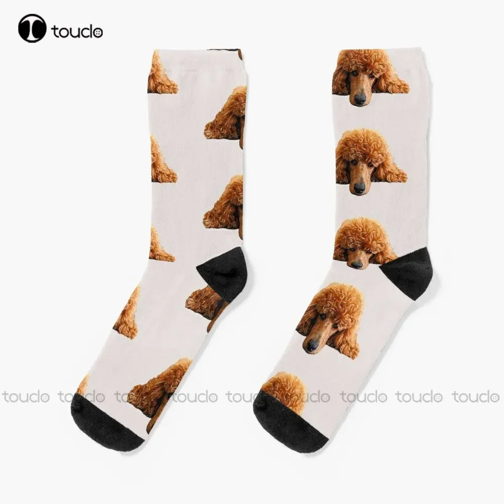 

Poodle Gorgeous Poodle Face / Head Socks Ankle Socks Men Personalized Custom Unisex Adult Teen Youth Socks 360° Digital Print
